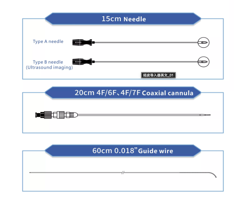 Percutaneous Access Set
