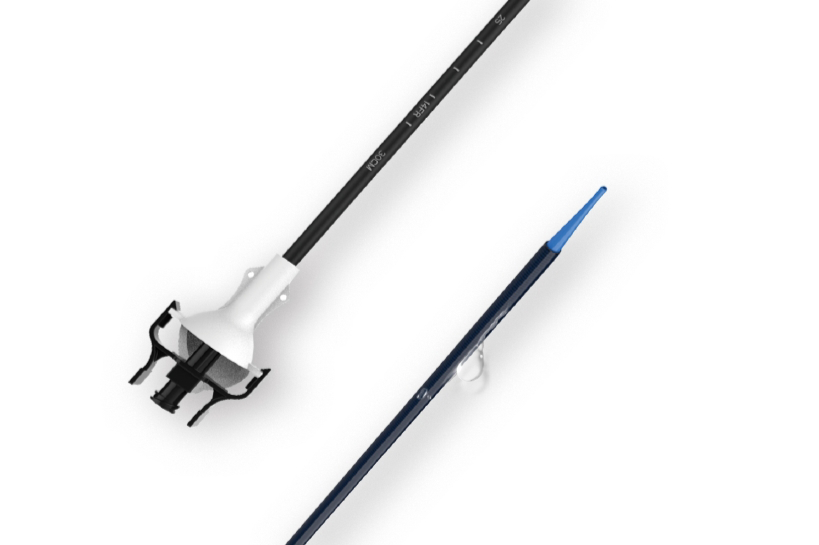 Ureteral Access Sheath